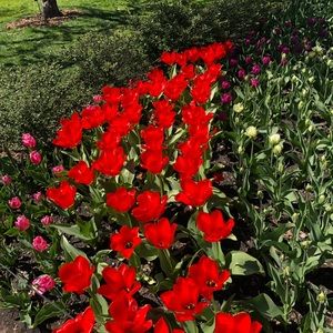 Meet your Posher, Mila